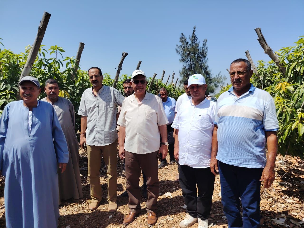 رئيس قطاع استصلاح الأراضي يتفقد جمعيات ومزارع قرى الاستصلاح بالنوبارية - الخليج الان