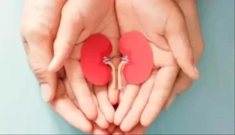 مشروبات صحية تدعم وظائف الكلى وتخفف الالتهاب