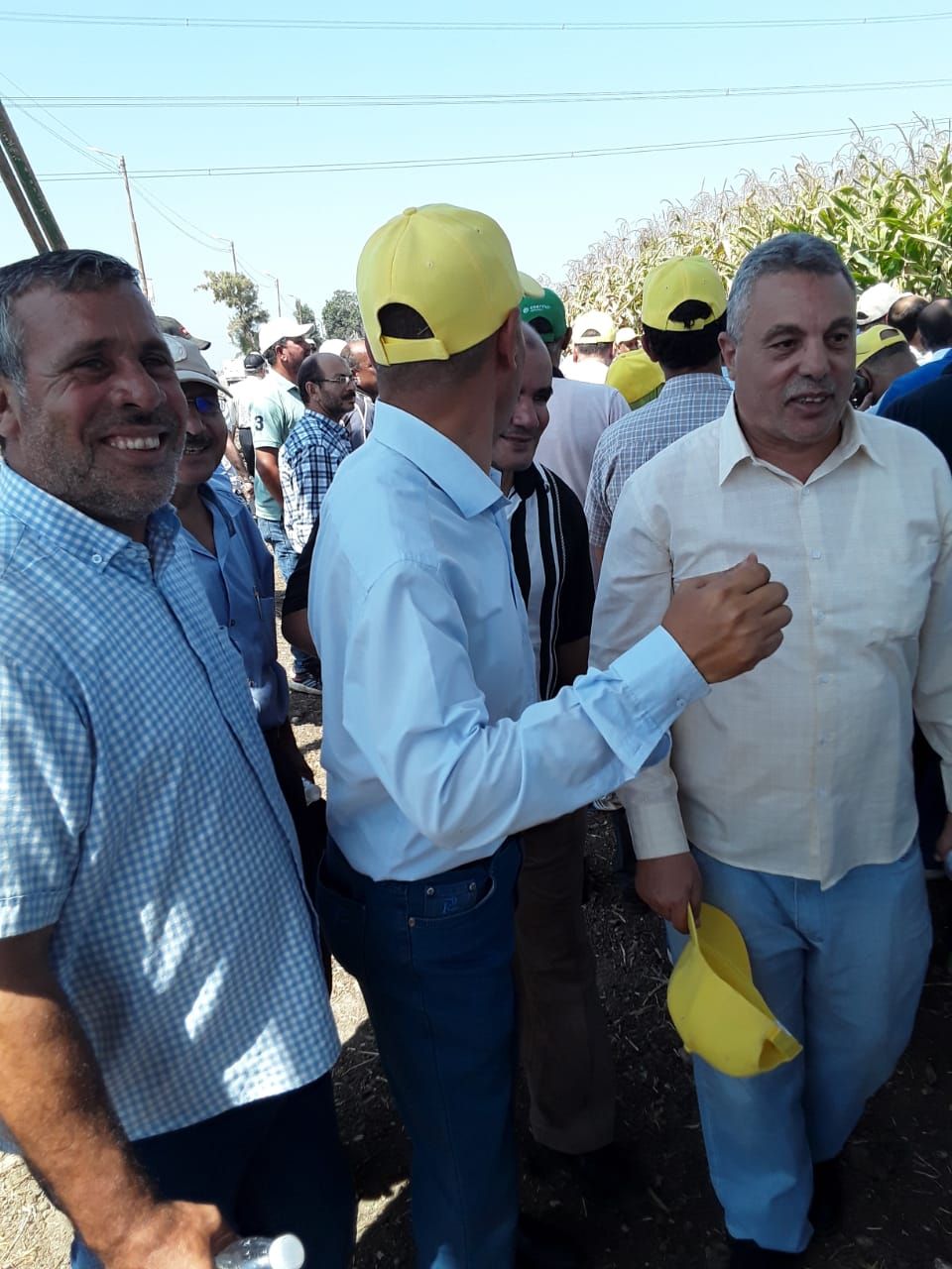 «الزراعة» تستعرض أنشطة بحوث أمراض النباتات في النصف الأول من سبتمبر - الخليج الان