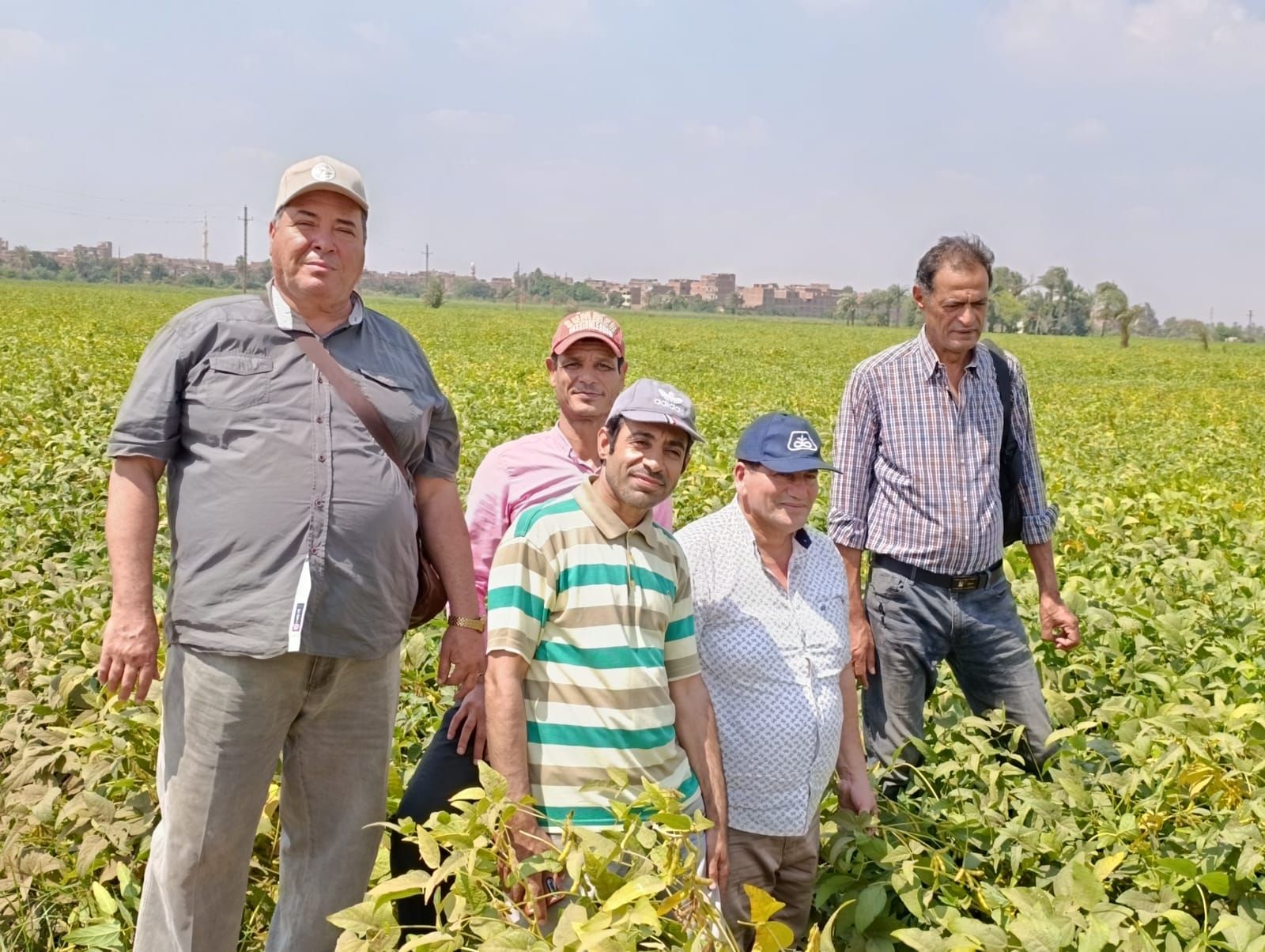 «الزراعة» تستعرض أنشطة بحوث أمراض النباتات في النصف الأول من سبتمبر - الخليج الان