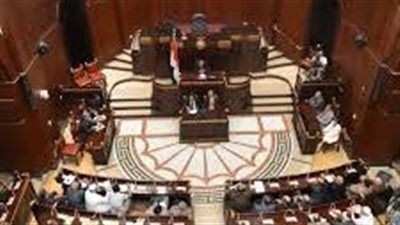 برلماني: استراتيجية الرئيس لتوطين الصناعة انطلاقة جديدة لتعزيز الإنتاج الوطني - الخليج الان