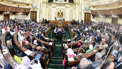 سؤال فى النواب لحماية المصريين من فوضى المراكز غير المرخصة والمنتجات المجهولة - الخليج الان