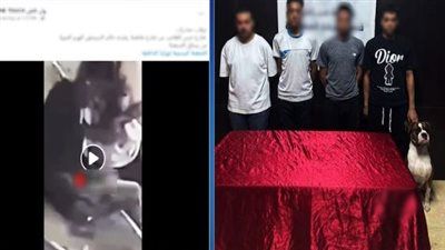 ضبط 4 أشخاص يتعاطون المواد المخدرة في العمرانية وبحوزتهم كلب - الخليج الان