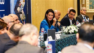 وزيرة التخطيط: معدلات النمو في تحسن رغم الأثر السلبي لانخفاض أنشطة قناة السويس وقطاع الاستخراجات - الخليج الان