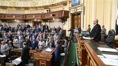 نواب وأحزاب: مؤتمر حل الدولتين يؤكد أن مصر الطرف الأكثر ثباتاً ووضوحاً في الدفاع عن الحق الفلسطيني - الخليج الان