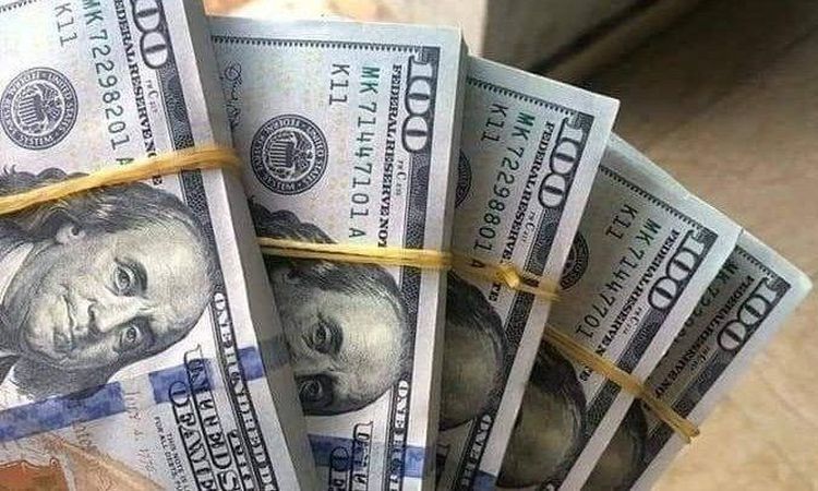 استقرار سعر الدولار أمام الجنيه المصري في البنوك اليوم