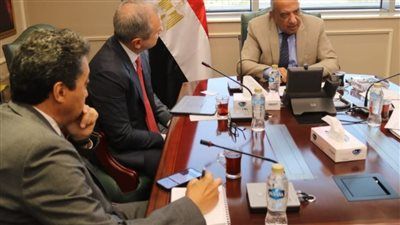 تعاون استراتيجي جديد بين مصر والإمارات لتعزيز استثمارات الطاقة المتجددة - الخليج الان