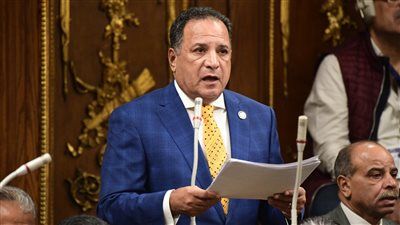 «اعتراضات وجيهة».. برلمانية الشعب الجمهوري لـ تليجراف الخليج: ندرس حاليا توجيهات الرئيس برد مشروع قانون الإجراءات الجنائية - الخليج الان