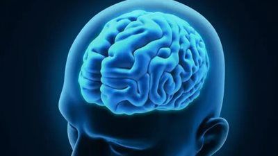 علماء: نقص النوم يعطل نظام تنظيف المخ ويرتبط بمرض ألزهايمر - الخليج الان