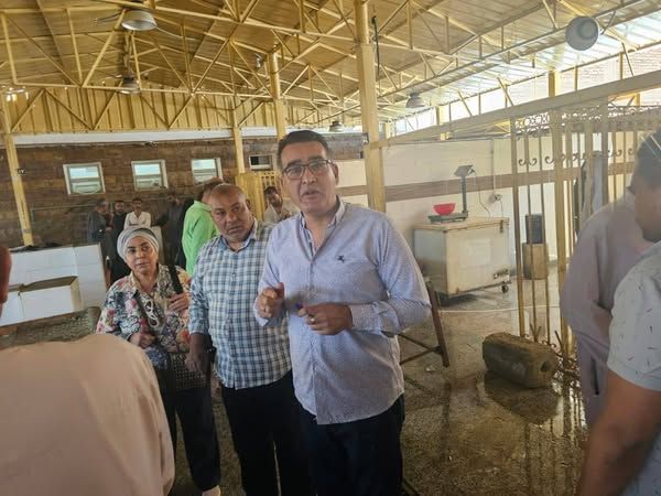 تموين الأقصر: ضبط 131 مخالفة تموينية متنوعة خلال 72 ساعة - الخليج الان