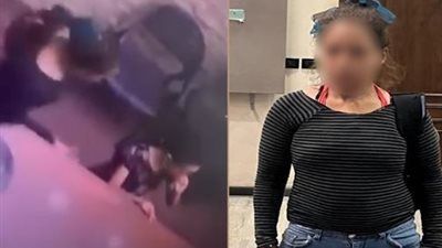 كشف ملابسات محاولة إحدى السيدات خطف طفلة بالإسكندرية - الخليج الان