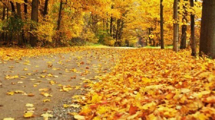 موعد فصل الشتاء 2025/2026 في مصر.. متى يبدأ؟