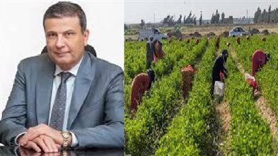 وزير الزراعة: الصادرات الزراعية المصرية تجاوزت 7.2 مليون طن - الخليج الان