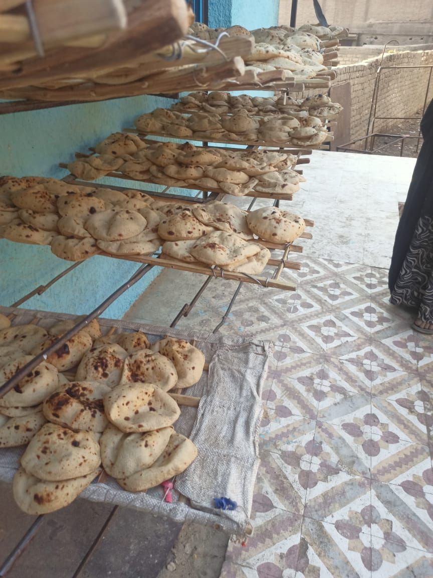 محافظ أسيوط: ضبط لحوم مذبوحة خارج المجازر وتحرير 343 محضرًا متنوعًا خلال حملات تموينية بالمراكز والأحياء - الخليج الان