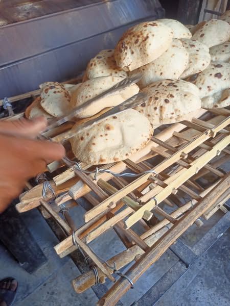 محافظ أسيوط: ضبط لحوم مذبوحة خارج المجازر وتحرير 343 محضرًا متنوعًا خلال حملات تموينية بالمراكز والأحياء - الخليج الان