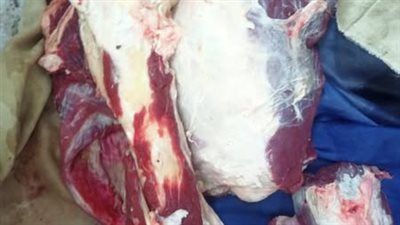 محافظ أسيوط: ضبط لحوم مذبوحة خارج المجازر وتحرير 343 محضرًا متنوعًا خلال حملات تموينية بالمراكز والأحياء - الخليج الان