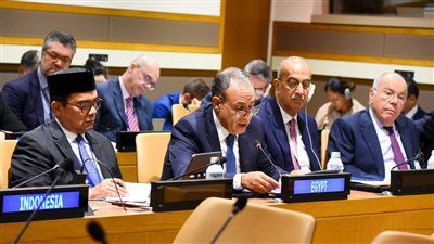 وزير الخارجية: الحرب الإسرائيلية على الشعب الفلسطيني أدت إلى كارثة إنسانية غير مسبوقة - الخليج الان