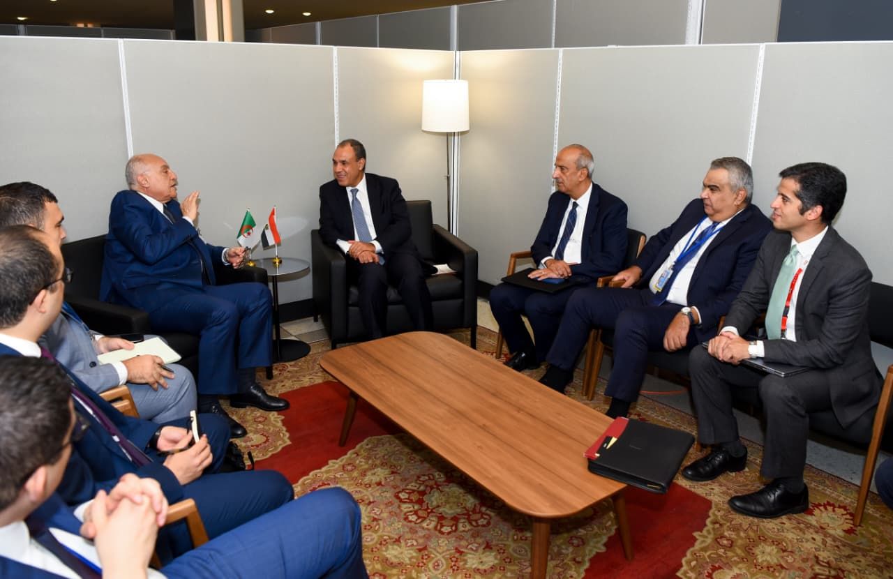 وزير الخارجية: الشركات المصرية مستعدة للمشاركة في مشروعات التنمية في الجزائر بما يحقق المصالح المشتركة للشعبين - الخليج الان