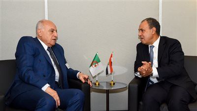وزير الخارجية: الشركات المصرية مستعدة للمشاركة في مشروعات التنمية في الجزائر بما يحقق المصالح المشتركة للشعبين - الخليج الان