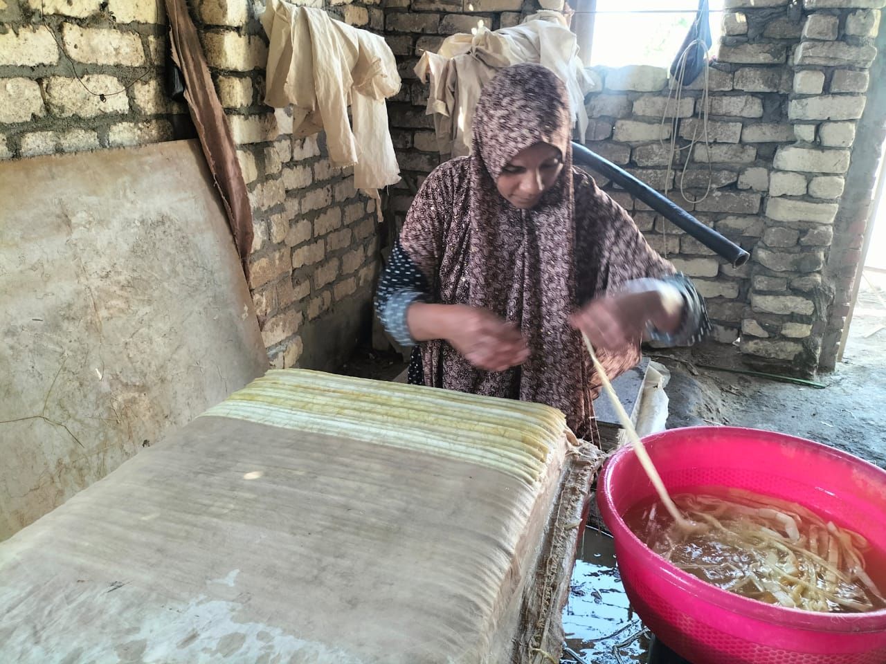 وجية» أقدم مزارعي الورق البردي بقرية القراموص بالشرقية : مهنة الأجداد ونسعي لإزدهارها - الخليج الان