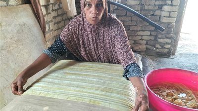 وجية» أقدم مزارعي الورق البردي بقرية القراموص بالشرقية : مهنة الأجداد ونسعي لإزدهارها - الخليج الان