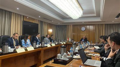 اتحاد الصناعة: 99% من خامات الأخشاب مستوردة.. وتوطين صناعة الإكسسوارات يفتح آفاقاً جديدة للتصدير - الخليج الان