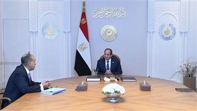 الرئيس السيسي يجتمع بوزير الخارجية لمناقشة الحقوق الاقتصادية والاجتماعية - الخليج الان