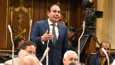 «حقوق الإنسان بالنواب»: القيادة السياسية حريصة على تعزيز الحريات - الخليج الان