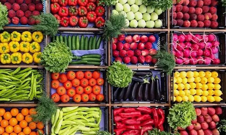 جنون بالطماطم واستقرار فى بقية أسعار الخضروات بالأقصر