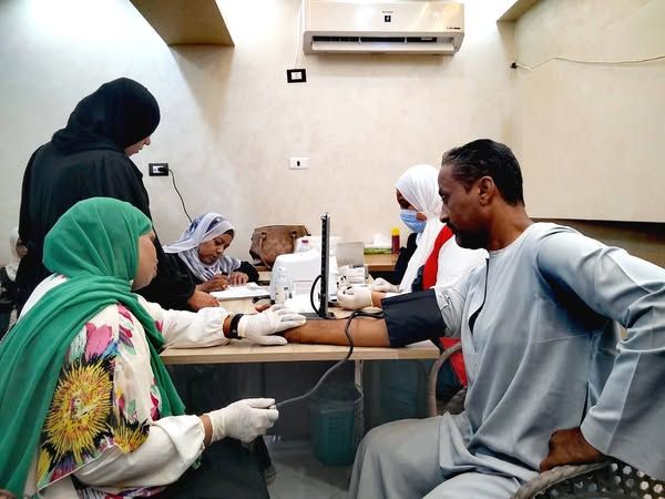 ضبط عدد 2 عربة حنطور مخالفة خلال حملة مكبرة بمدينة الأقصر ضمن حملة الانضباط العام والقضاء - الخليج الان