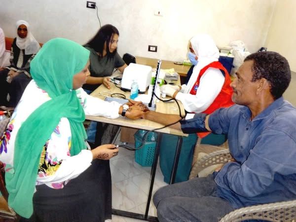 ضبط عدد 2 عربة حنطور مخالفة خلال حملة مكبرة بمدينة الأقصر ضمن حملة الانضباط العام والقضاء - الخليج الان