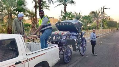 ضبط عدد 2 عربة حنطور مخالفة خلال حملة مكبرة بمدينة الأقصر ضمن حملة الانضباط العام والقضاء - الخليج الان