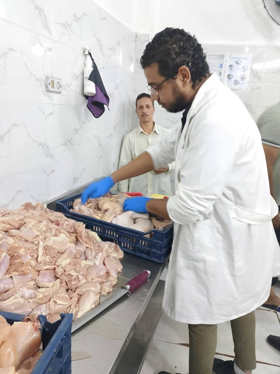 الزراعة.. ضبط 270 طن لحوم فاسدة وتحرير 981 محضرًا خلال سبتمبر - الخليج الان