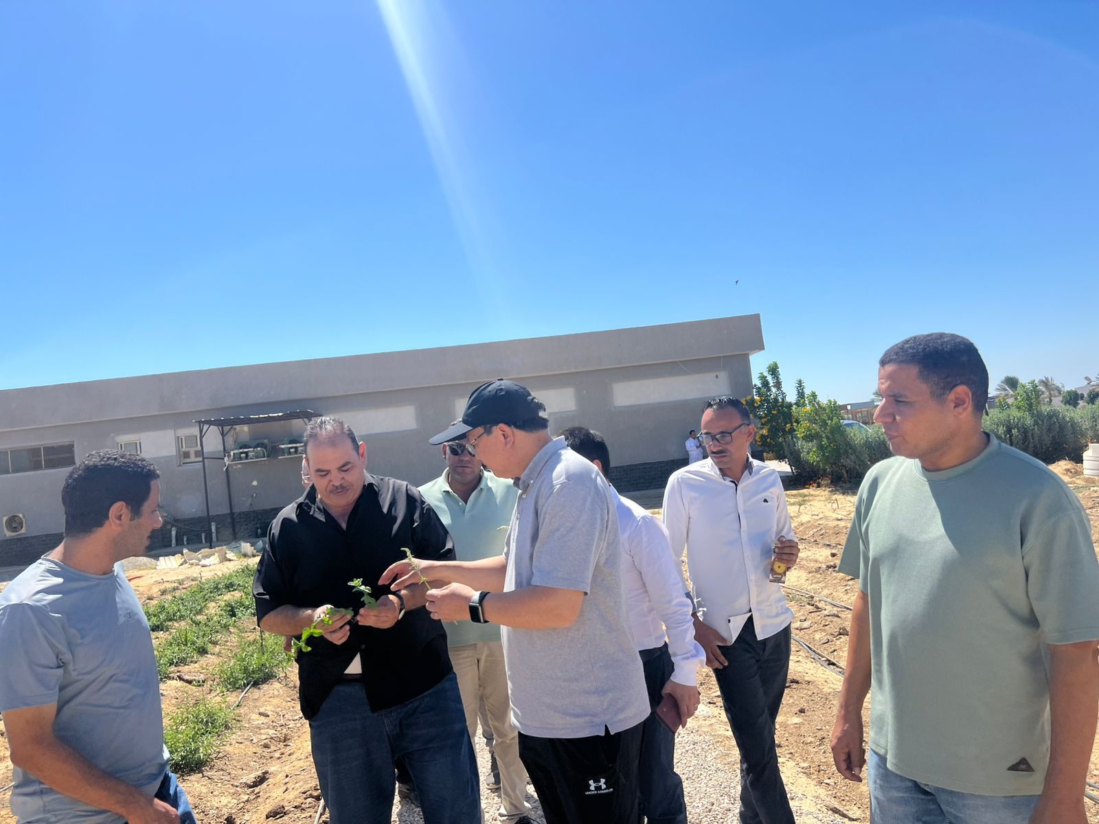 بحوث الصحراء يستقبل وفدًا صينيًا بجنوب سيناء لتعزيز التعاون العلمي في إدارة البيئات الصحراوية - الخليج الان