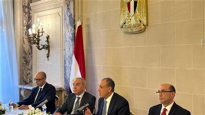 وزير الخارجية يوجه رسالة إلى المصريين بالخارج بشأن انتخابات مجلس النواب.. ماذا قال؟ - الخليج الان