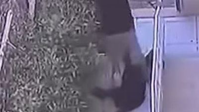 ضبط 3 عمال سمموا كلب حراسة داخل فيلا بالجيزة - الخليج الان