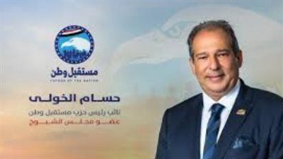 نائب رئيس حزب مستقبل وطن: الانتخابات البرلمانية المقبلة ستشهد منافسة شرسة وزخمًا سياسيًا غير مسبوق - الخليج الان