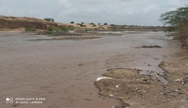 ري 5000 فدان من الاراضي الزراعية بدلتا تبن