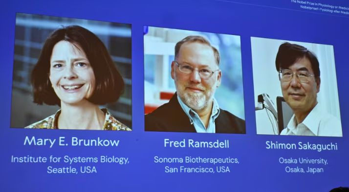 «قدموا أعظم فائدة للبشرية».. أمريكيان وياباني يفوزون بجائزة نوبل للطب 2025 - الخليج الان