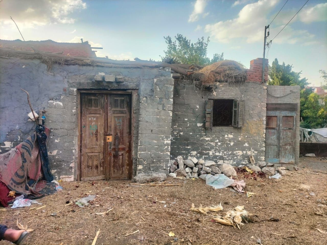 أنقذونا من الثعابين.. أهالي عزبة الوقف بالشرقية يستغيثون: بنت ماتت من لدغة ثعبان وخايفين على ولادنا - الخليج الان