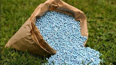 300 ألف طن فائض سنوي من الأسمدة.. الزراعة تؤكد الاستعداد الكامل للموسم الشتوي - الخليج الان