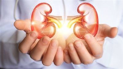 الكلى في خطر.. 7 عادات يومية تسبب تلف الكلى بصمت وتأثيرها على صحتك العامة - الخليج الان