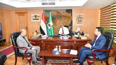 محافظ الفيوم يناقش آليات توفير القدرات الكهربائية لتشغيل عدد من المشروعات بدمو - الخليج الان