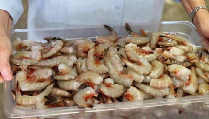 رسوم ترامب تشعل أسعار الجمبري.. المطاعم بين نار التكلفة ومخاوف الإفلاس