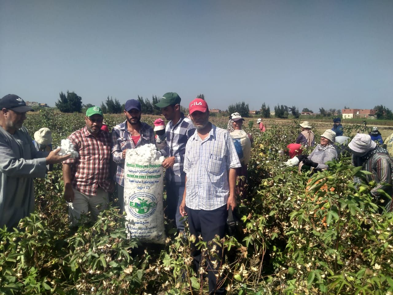 الزراعة.. تنفيذ 468 نشاطا إرشاديا استهدف أكثر من 7000 مزارع خلال أسبوع - الخليج الان