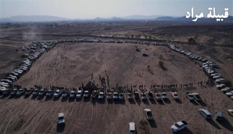 مأرب.. قبائل مراد ترحب بـ "رؤية الزبيدي" وتدعو لتوحيد الصف مع الجنوب