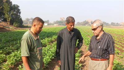 الزراعة.. تنفيذ 468 نشاطا إرشاديا استهدف أكثر من 7000 مزارع خلال أسبوع - الخليج الان