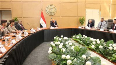 الكهرباء: استخلاص العناصر النادرة وتعظيم أوجه الاستفادة من خلال كيانات اقتصادية وطنية - الخليج الان