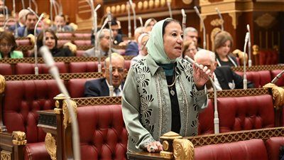 حياة خطاب بعد نجاح مفاوضات شرم الشيخ: مصر تثبت مجددًا أنها صوت الحكمة والعقل - الخليج الان