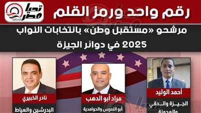 مرشحو «مستقبل وطن» يتقدمون بأوراق ترشحهم لانتخابات مجلس النواب بمحافظة الجيزة - الخليج الان